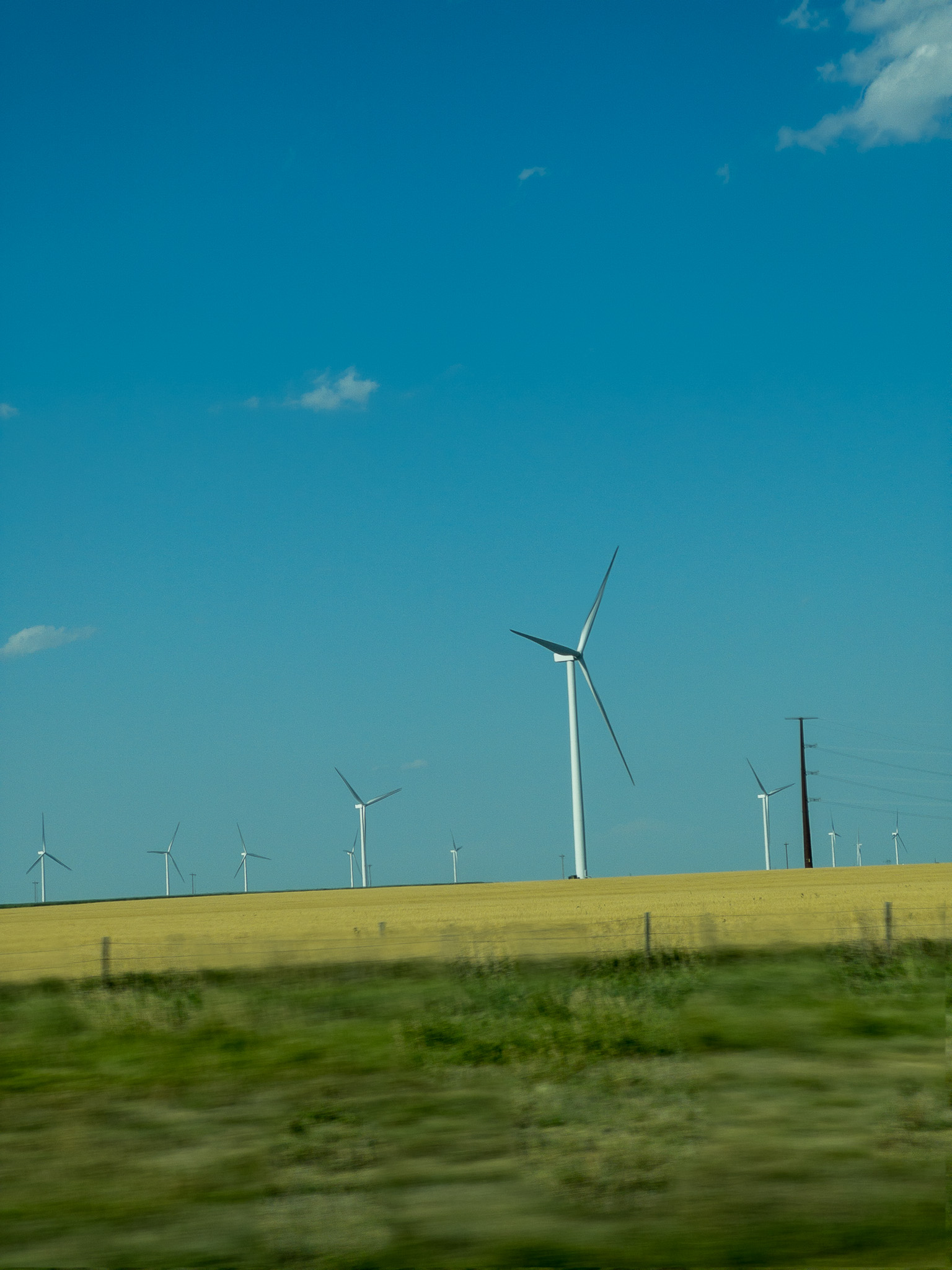 a field of wheat and windmills
