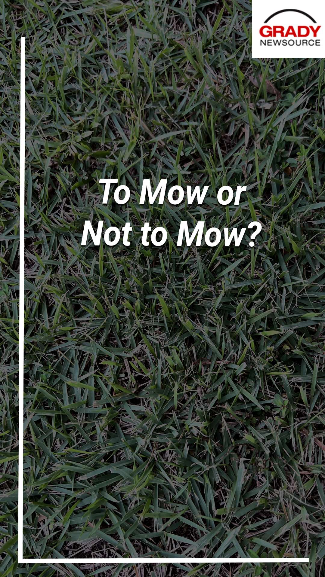 To Mow or Not to Mow?